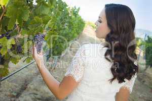 Young Adult Woman Enjoying The Wine Grapes in The Vineyard