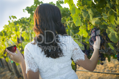 Young Adult Woman Enjoying A Glass of Wine in Vineyard