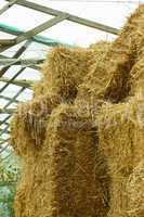bales of straw stacked in a heap