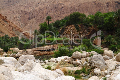 Wadi Tiwi