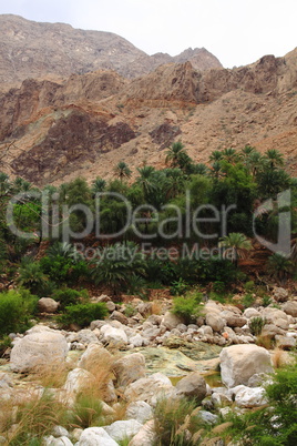 Wadi Tiwi