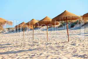 Umbrellas on the beach