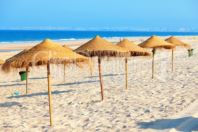 Umbrellas on the beach