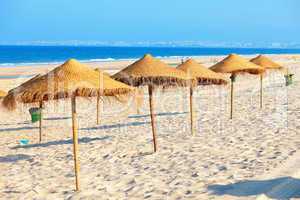 Umbrellas on the beach