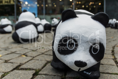 Pandas in Kiel