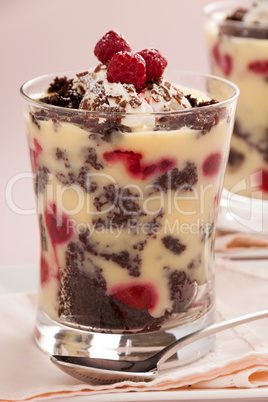 Raspberry Chocolate Trifle