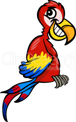 macaw clip art cartoon illustration
