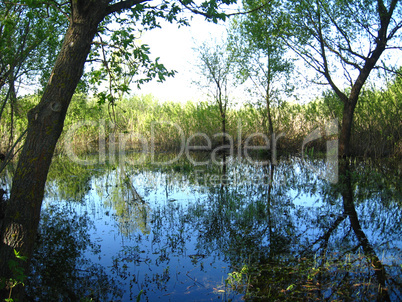 flood on the river in the spring