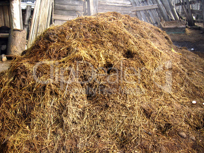 heap of the dung besides the shed