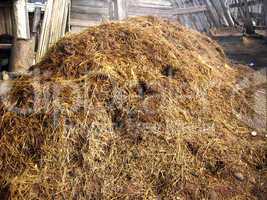 heap of the dung besides the shed