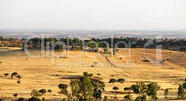 Rural landscape with grassland and trees