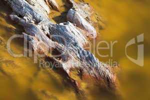 Limestone rocks sticking out of the water