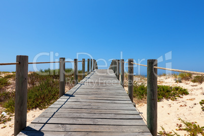 Boardwalk protecting a fragile dune ecosystem
