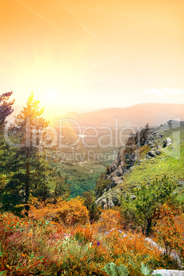 Mountain Demerdji in autumn