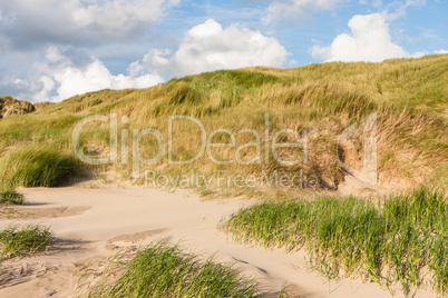 Dünen an der Nordsee, dunes at the north sea
