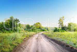 Winding road in a field