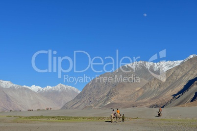 Indien, Ladakh, Nubra Tal