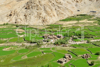 Indien, Ladakh, Tal