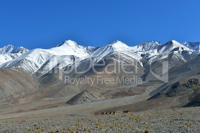 Indien, Ladakh, Gebirge am Pangong See