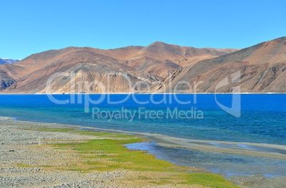 Indien, Ladakh, Pangong See