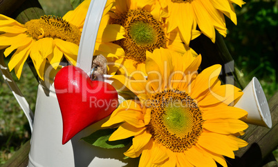 Sonnenblumen Herz Liebe