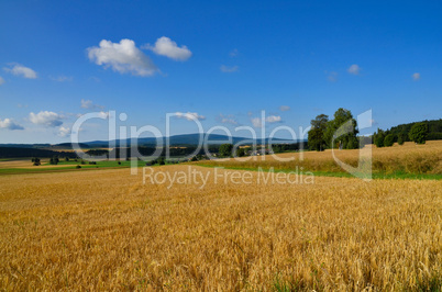 Landschaft Feld Sommer