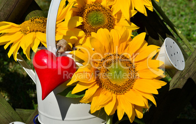 Sonnenblumen Herz Liebe