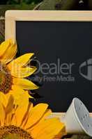 Tafel Sonnenblumen Schild