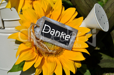 Danke Tafel Sonnenblumen Gartenzaun Garten