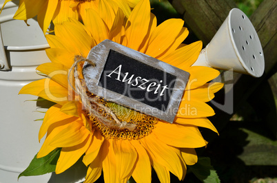 Auszeit Sonnenblumen Auszeit