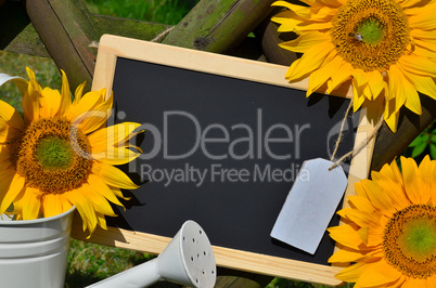 Tafel Sonnenblumen Gartenzaun Garten