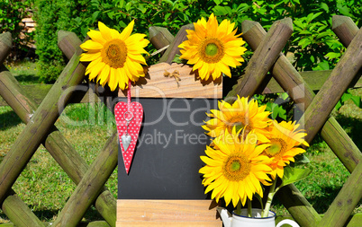 Tafel Sonnenblumen Gartenzaun Garten