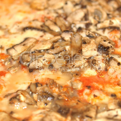 Mushroom Pizza