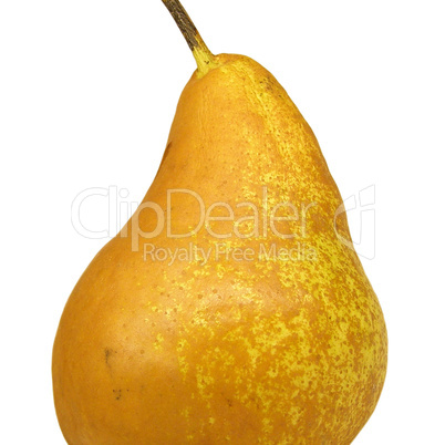 pear picture