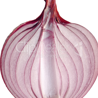 onion