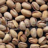 pistachios picture