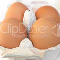 eggs picture