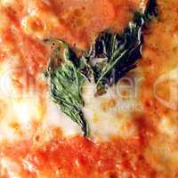 pizza picture