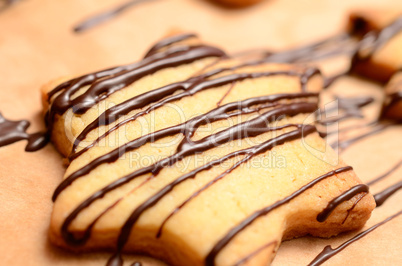 Star shaped cookie