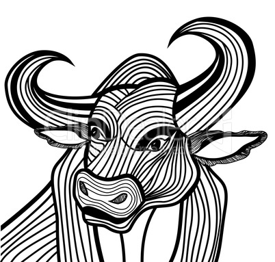 Bull head vector animal illustration for t-shirt.