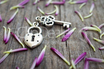 Key with heart shaped lock