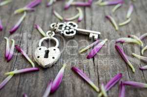 Key with heart shaped lock