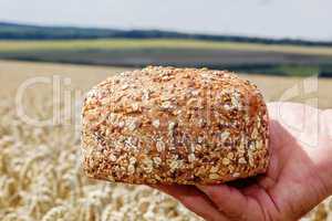 Hand holding freshly baked bread before Cornfield