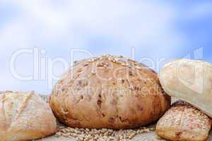 Bread before Cornfield