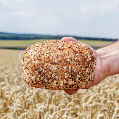 Hand holding freshly baked bread before Cornfield