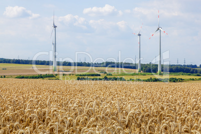 Grain field with windmills