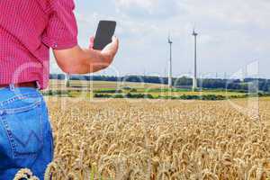 Farmer with smartphone in cornfield