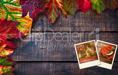 Colorful wet autumn leaves arranged on old wooden table