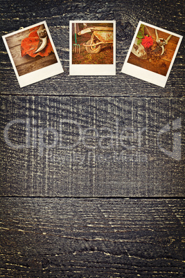 Old polaroid gardening pictures on rustic wooden background