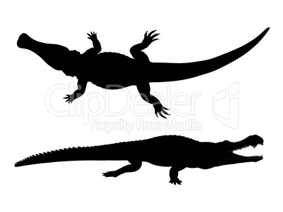 Silhouette eines Krokodils